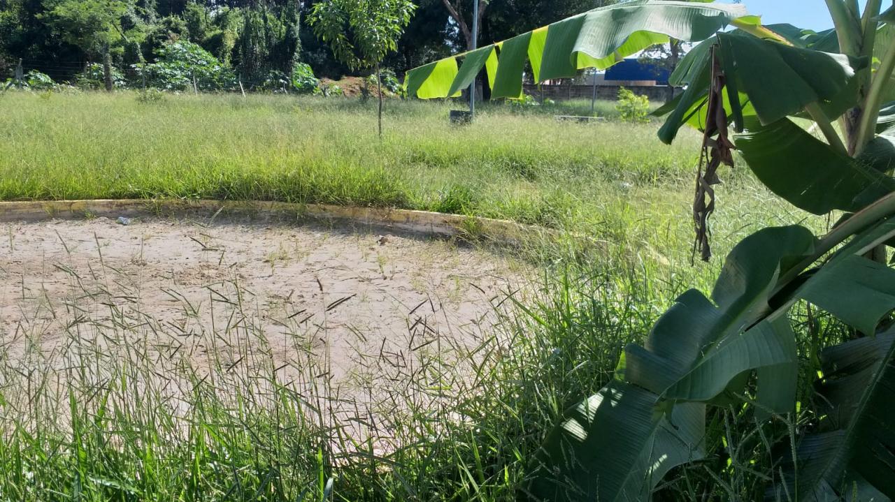 Foto 21 de 21 — Mato toma conta de praça no Maria Luiza; Prefeitura não tem prazo para zeladoria no bairro